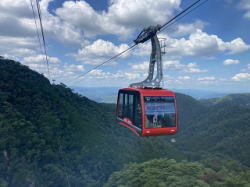 �����񍐎ʐ^