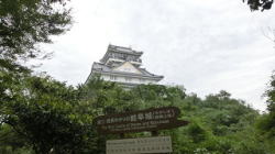 �����񍐎ʐ^